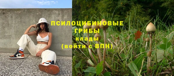 трава Магас