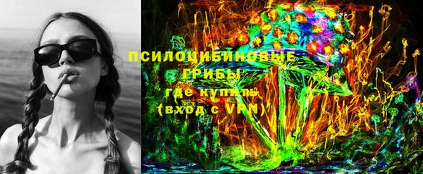 трава Магас