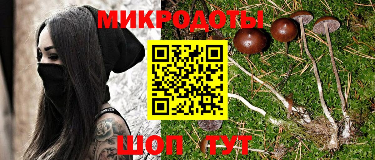 Галлюциногенные грибы Cubensis Чапаевск