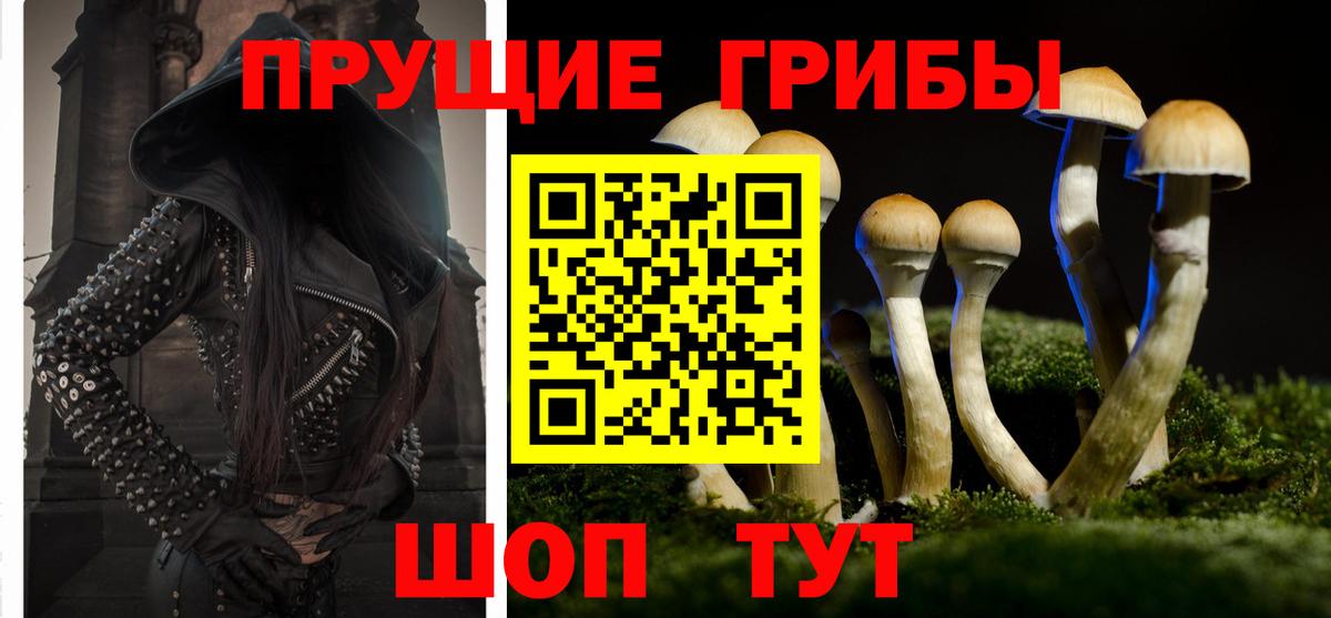 Чапаевск  Галлюциногенные грибы мухоморы  Вход с VPN 
