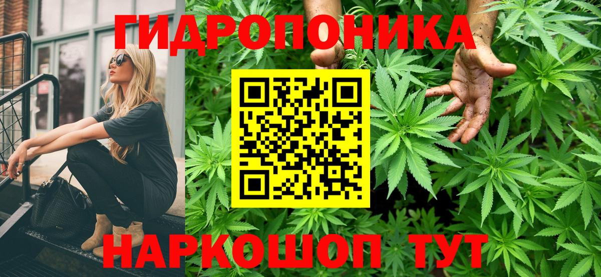 Конопля LSD WEED Чапаевск